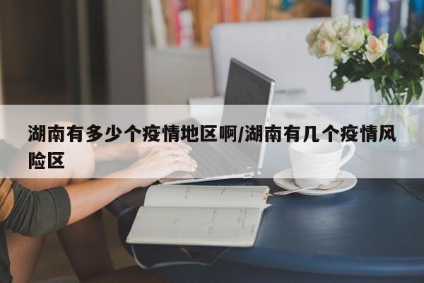 湖南有多少个疫情地区啊/湖南有几个疫情风险区